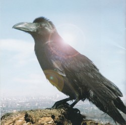 町を見下ろす丘