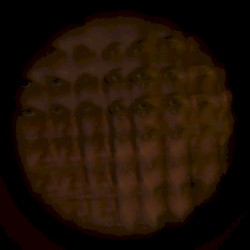 Geminus / Hush Hush Remixes