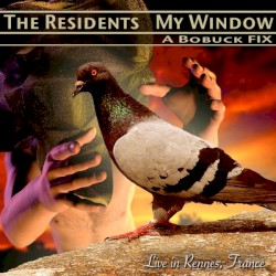 My Window: A Bobuck Fix