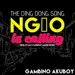 The Ding Dong Song - NG10 is Calling