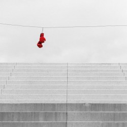 Светлосянка