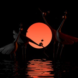 Forward Flamingo