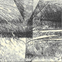 The River That Flows Into the Sands