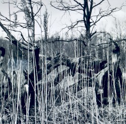 EESTI – Etude pour un carnet de voyage