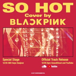 SO HOT (THEBLACKLABEL remix)