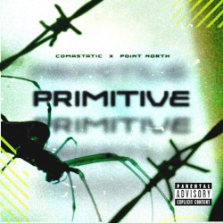 PRIMITIVE