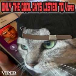 Only The Cool Cats Listen To Viper