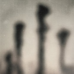 The Transcending Quest