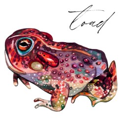 Toad