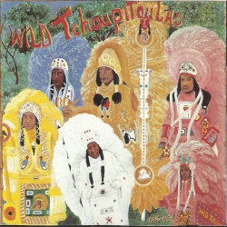 Wild Tchoupitoulas