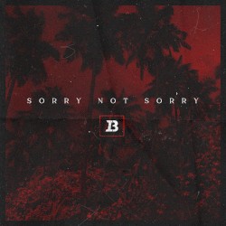 Sorry Not Sorry