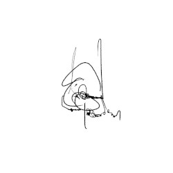 Reo