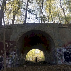 while the light is fading