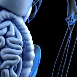 BAPTISM: 9 - SPIRITS