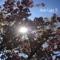 Ambi Light 3