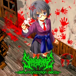 Dehumanization Decay