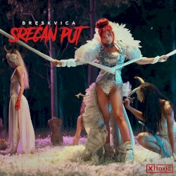 Srecan Put
