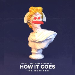 How It Goes (the remixes)
