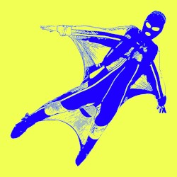 Wingsuit