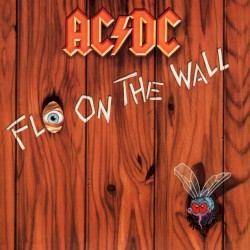 Fly on the Wall