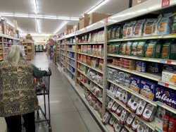 Morning Ambience June 7th 2024