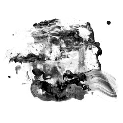 Eyes Like Predatory Wealth