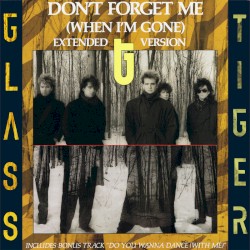 Don’t Forget Me (When I’m Gone) (extended version)