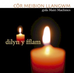 Dilyn y Fflam