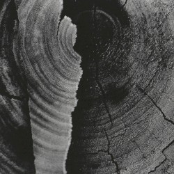 Live on X-Rated, KINK FM Hilversum The Netherlands. October 10th 2004.