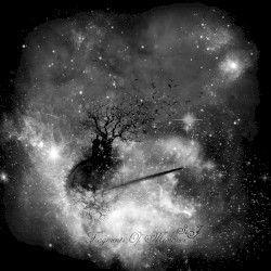 Fragments of Memories