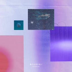 愛が止まらない ~Turn It Into Love~