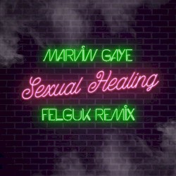 Sexual Healing (Felguk remix)