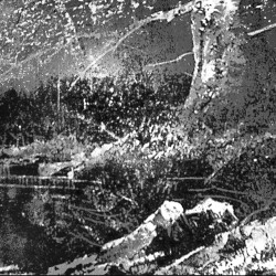 E̶R̶R̶O̶R̶ 【ＮＩＮＥ】