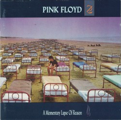 A Momentary Lapse of Reason