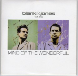 Mind of the Wonderful