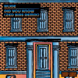 Did You Know (Zed Bias remix)