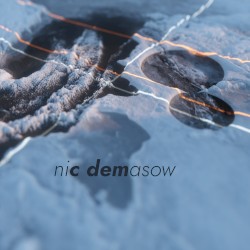 nic demasow