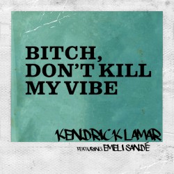 Bitch, Don’t Kill My Vibe (remix)