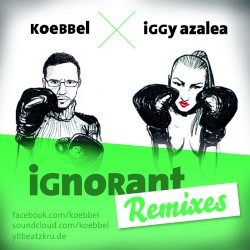 Ignorant Remixes