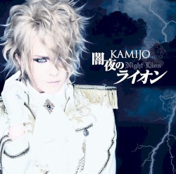 闇夜のライオン