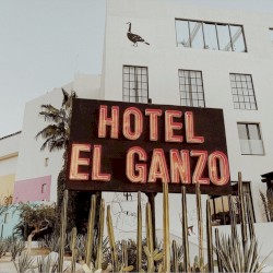 Live From El Ganzo