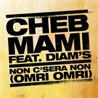 Non C'sera Non (Omri Omri) (Rain'b Fever 2)