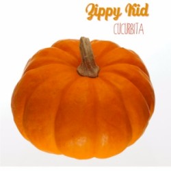 Cucurbita