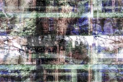 neither the time nor the place