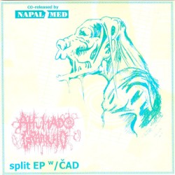Split EP