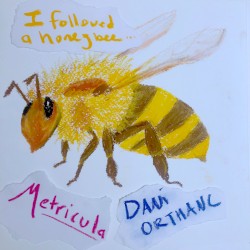 I Followed a Honeybee