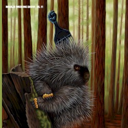 Medicine Show No. 11: Low Budget High Fi Music