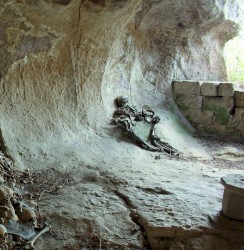 Ritualistic Mutilation in the Bloody Darkness