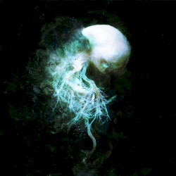 The Disappearance Of Memories