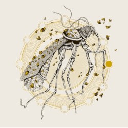 Rain Will Be the New Gold / Humongous Fungus